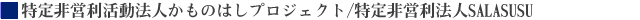 特定非営利活動法人かものはしプロジェクト/特定非営利法人SALASUSU
